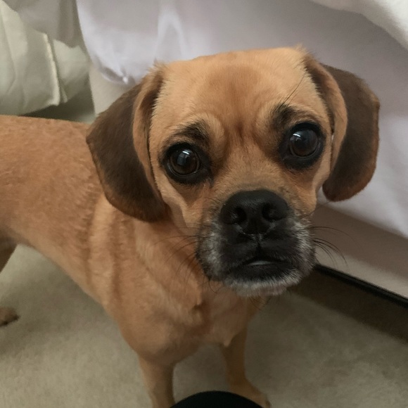 Welcome! - Picture 2 of 3